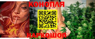 apvp Лесосибирск