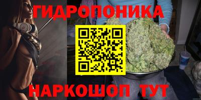 apvp Лесосибирск