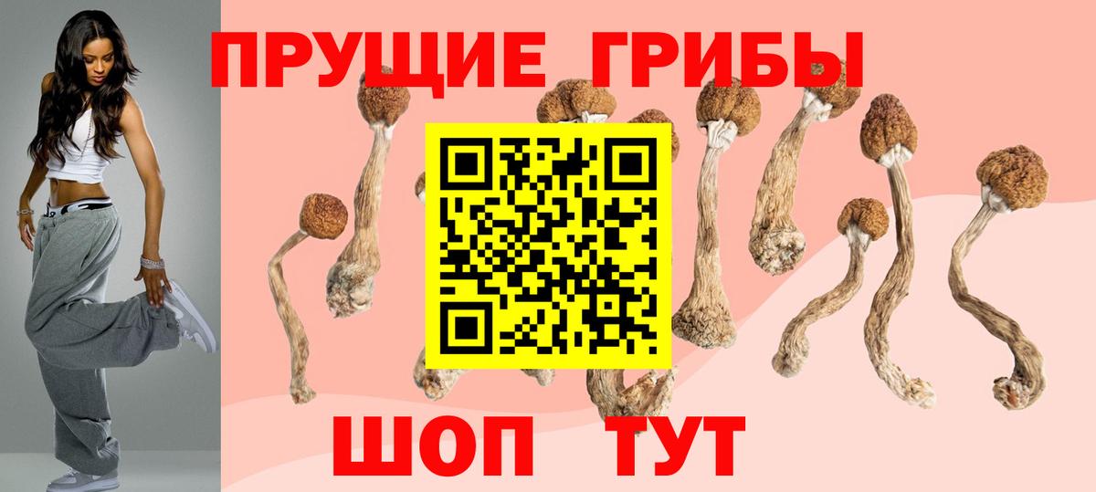 купить наркотик  Галлюциногенные грибы MAGIC MUSHROOMS  Вход с VPN  Домодедово 